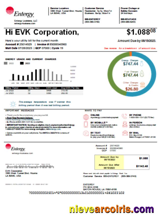 Louisiana Entergy utility business bill